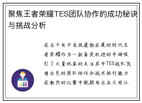 聚焦王者荣耀TES团队协作的成功秘诀与挑战分析