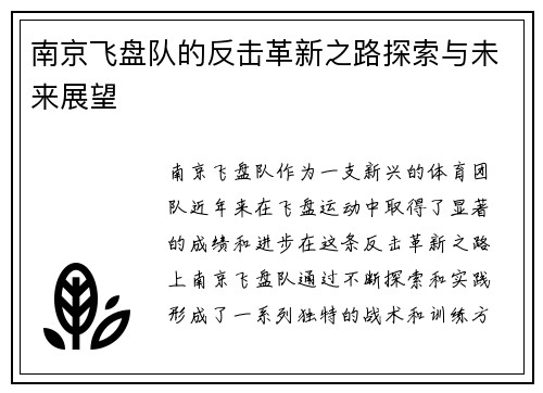 南京飞盘队的反击革新之路探索与未来展望